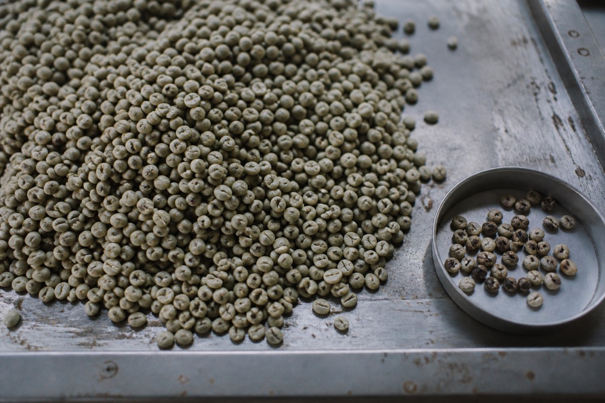 Lam Dong Catimor Washed